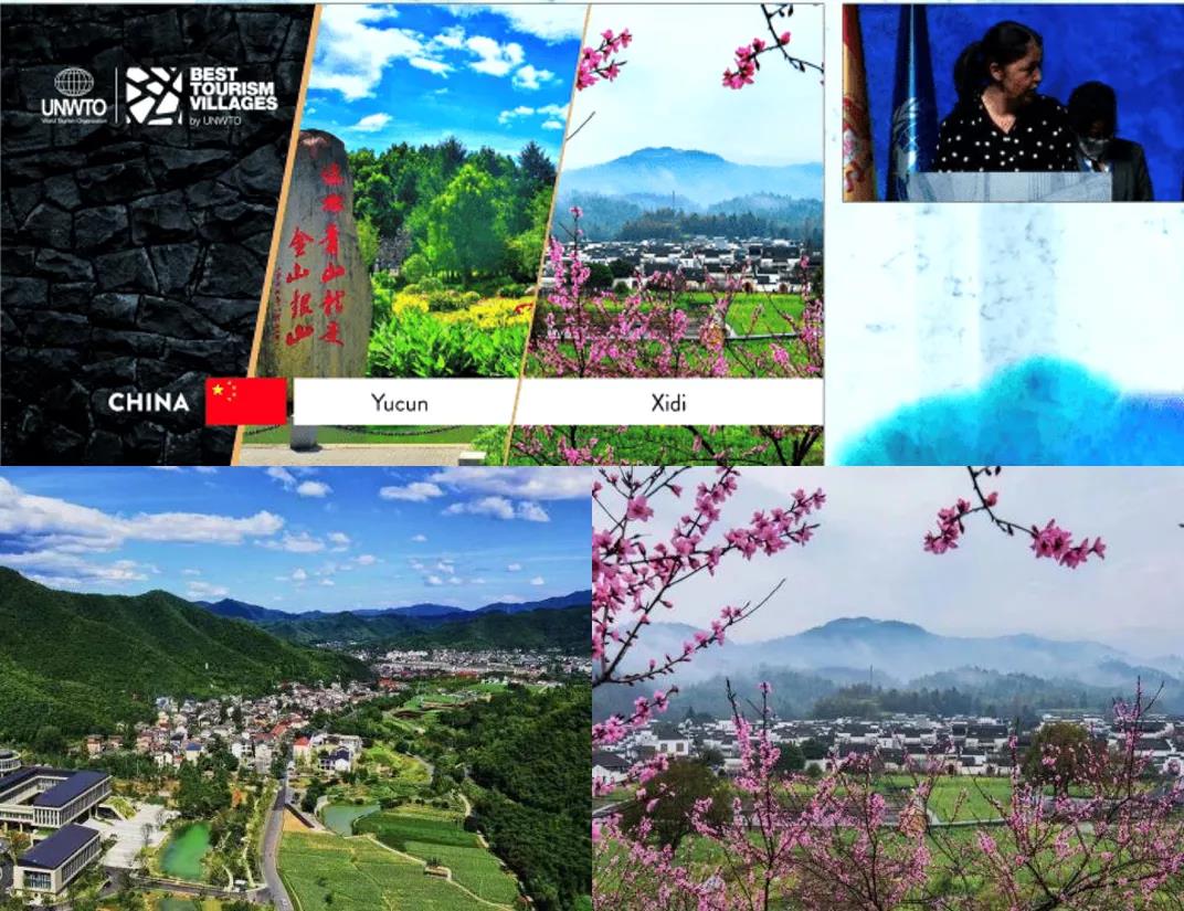 1638756329631.jpg 3.jpg