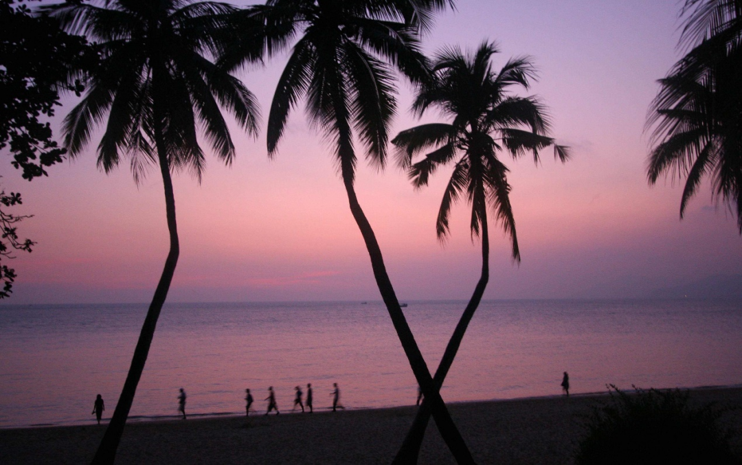 1650012746484.png 1.png